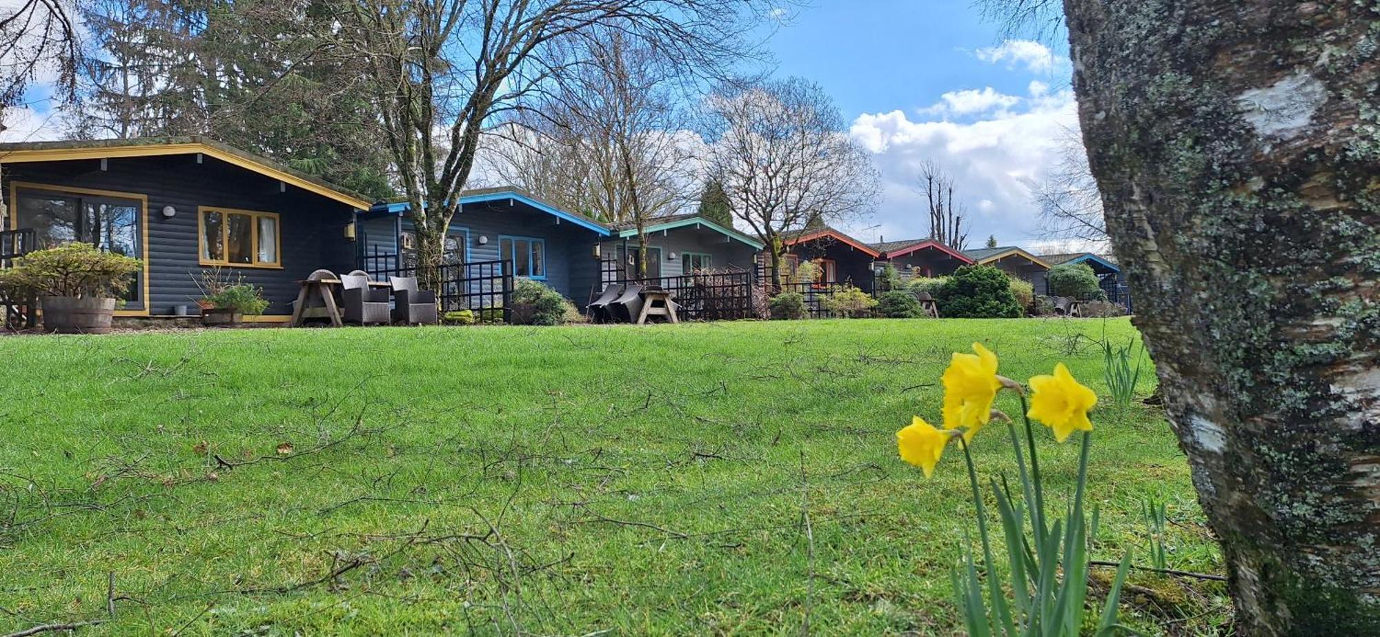 Lochend Chalets Hotel Port Of Menteith Kültér fotó